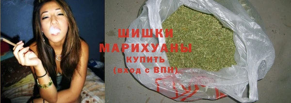 крисы Наволоки