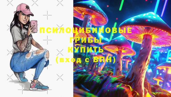 крисы Наволоки