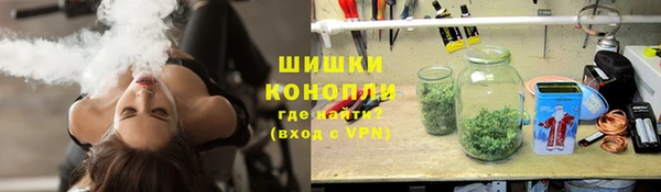 индика Навашино