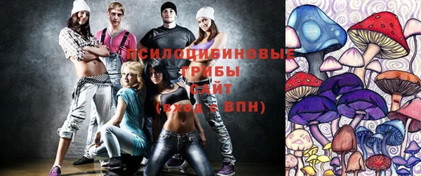 индика Навашино