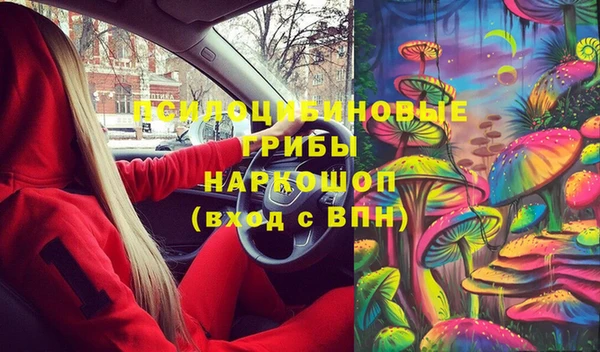 крисы Наволоки