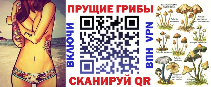 Галлюциногенные грибы Psilocybine cubensis Брюховецкая