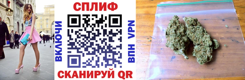 Шишки марихуана планчик  Брюховецкая 